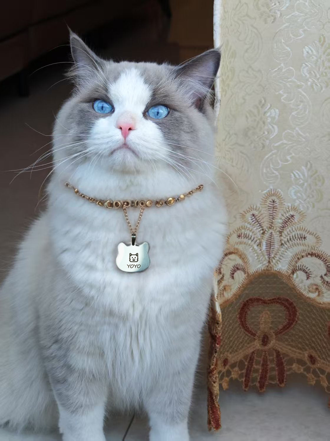 ortur-cat-tag-2