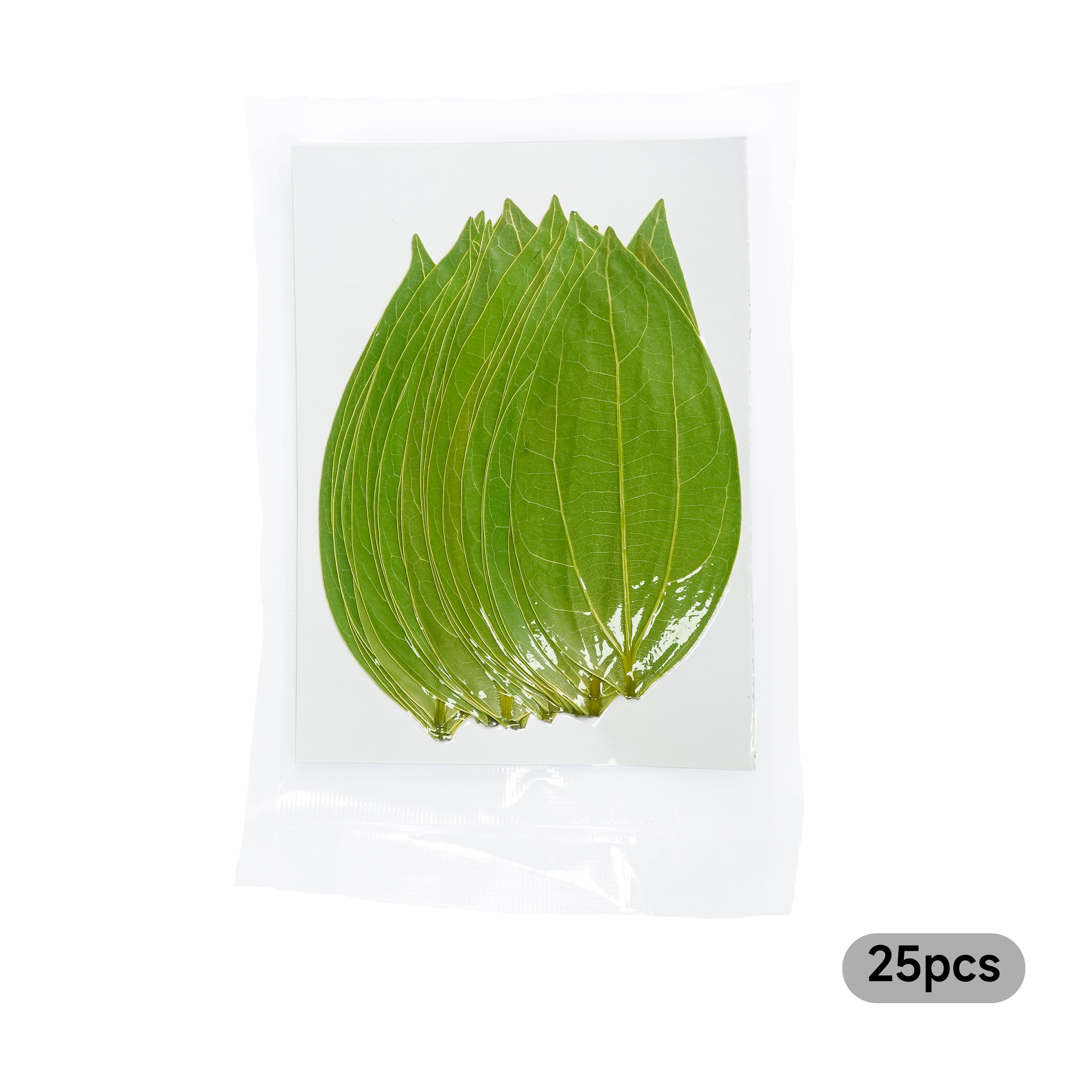 ortur-cinnamon-leaf