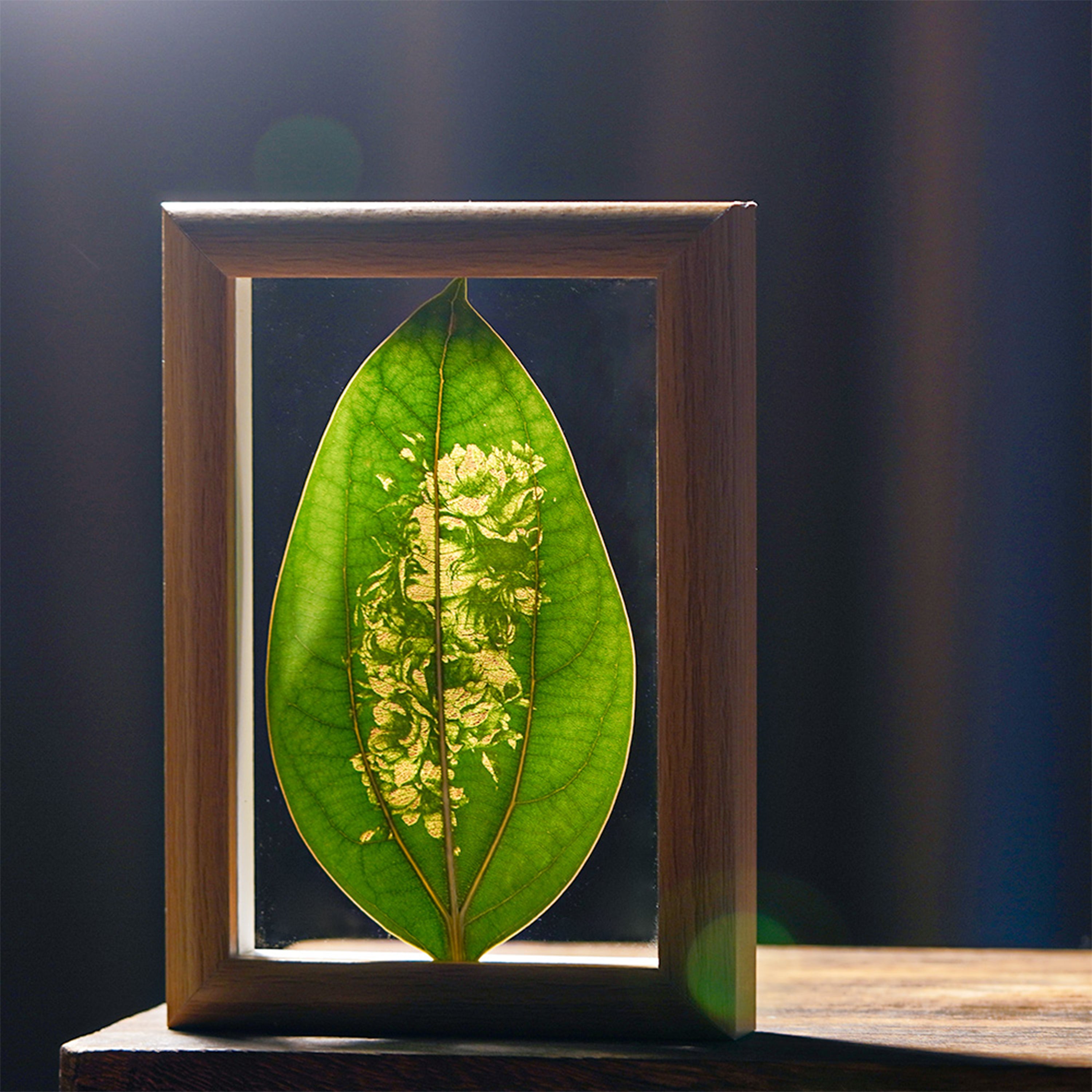 ortur-cinnamon-leaf